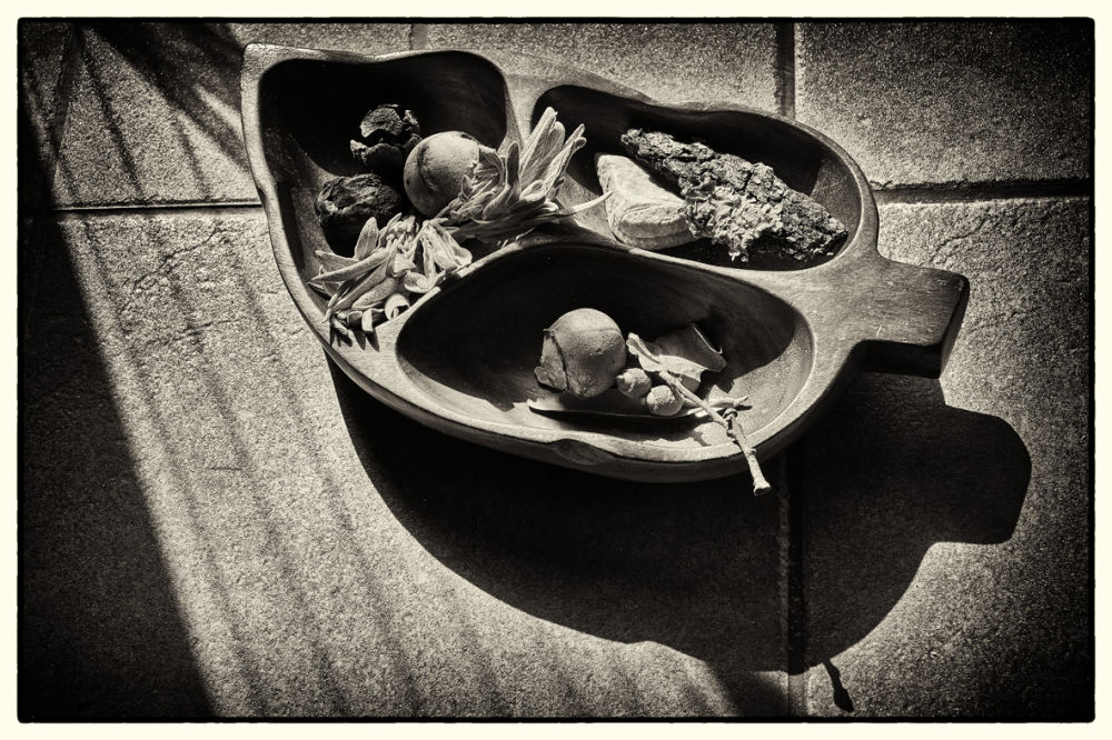 <p>Copyright Albert Sieber 2017</p> <p>Copyright Albert Sieber 2017</p>