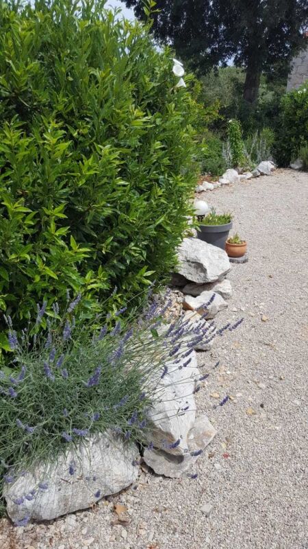 <p>Lavendel</p> <p>Lavendel</p>